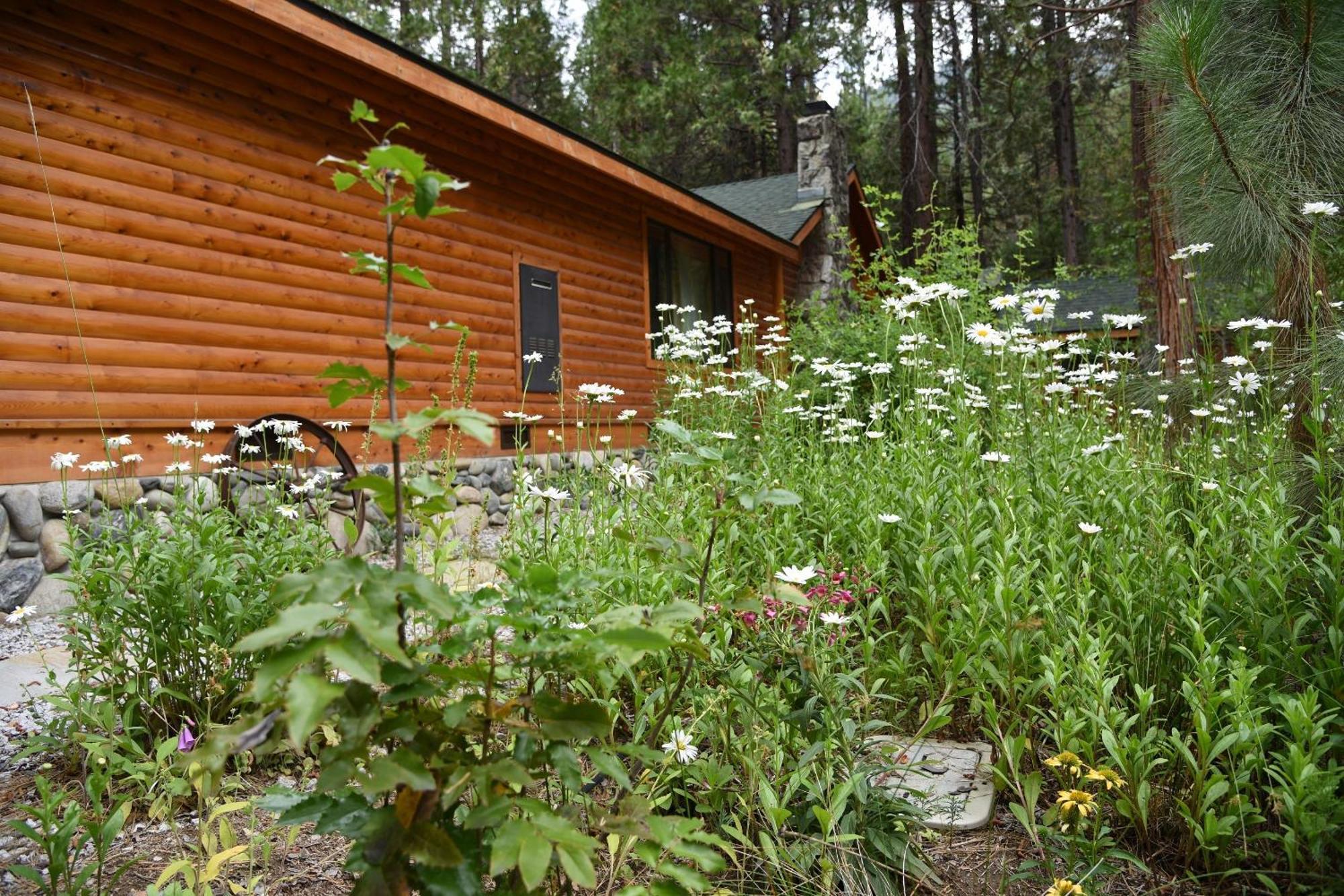 Grizzly Giant Villa Wawona Dış mekan fotoğraf
